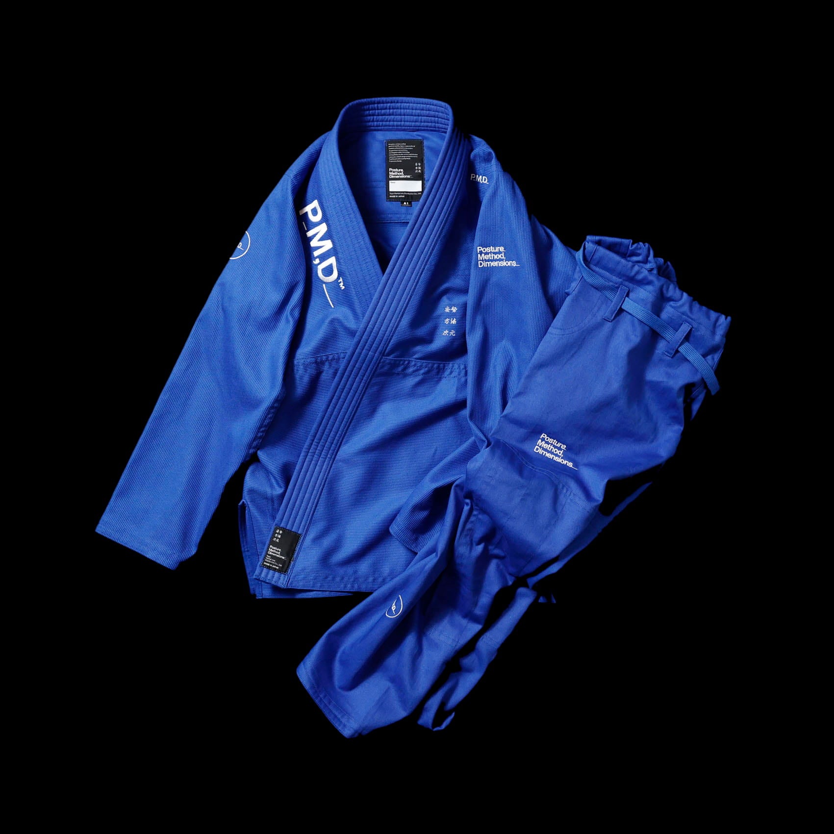 P_M,D_Basic-B / Competition Model / Blue