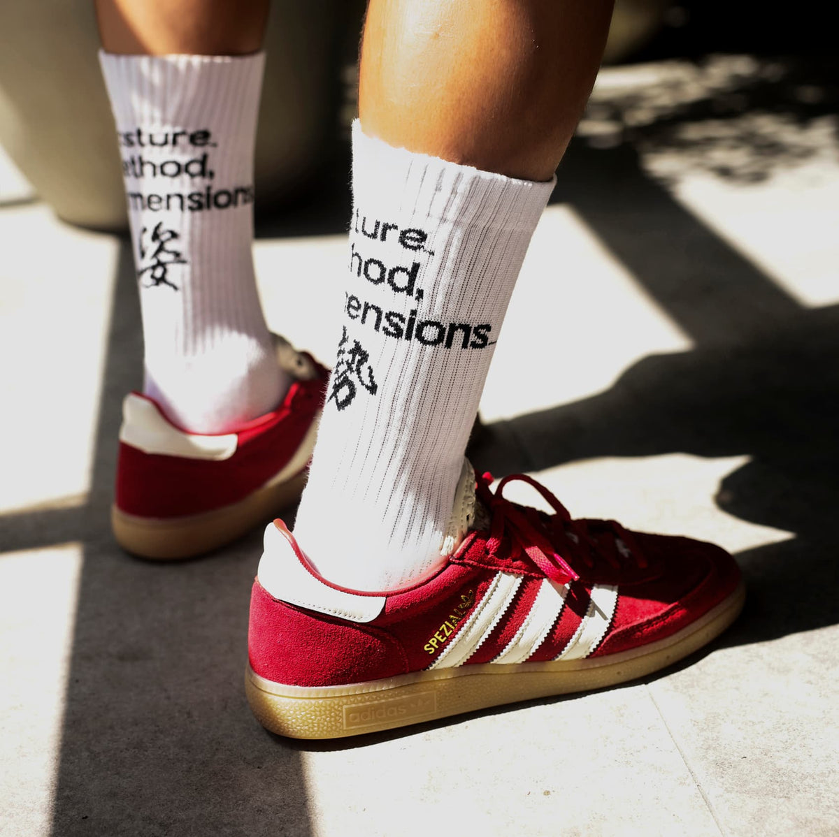 P_M,D_ BASIC SOCKS #01